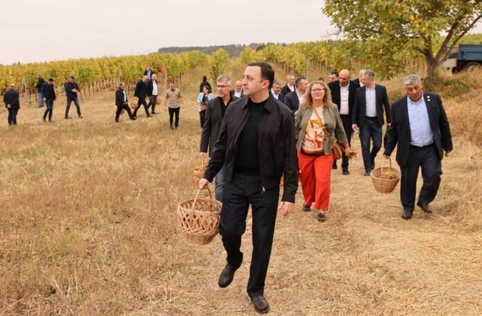 311016785_474247341402951_5482492665712667882_n