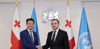 ირაკლი ღარიბაშვილს და დარენ ტანგს შორის შეხვედრა გაიმართა