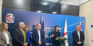 ნინო ლაცაბიძემ ბრიფინგი გამართა