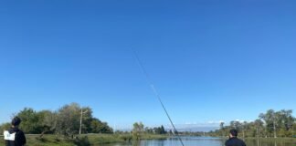 რუსთავში თევზჭერის ფესტივალი დასრულდა