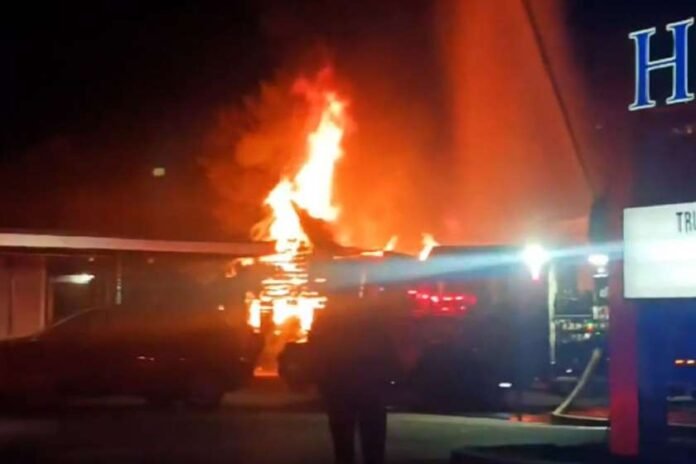 Tvitmfrinavi saxls daeca