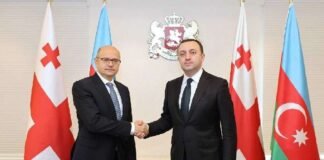 პრემიერ-მინისტრი აზერბაიჯანის ენერგეტიკის მინისტრს შეხვდა