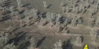 Xronika ქრონიკა აზებაიჯანულ ენაზე 05.10.2022