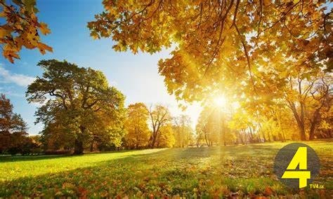 ამინდი შემოდგომაზე