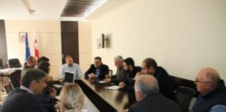 ბოლნისის მერმა კონტრაქტორი კომპანიის წარმომადგენლებთან შეხვედრა გამართა