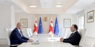 ირაკლი ღარიბაშვილი თარაშ პაპასქუას შეხვდა