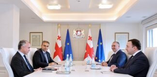 ირაკლი ღარიბაშვილი ჯეიმს ჯონს შეხვდა