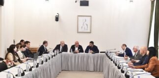 სპორტული ცეცხლსასროლი იარაღის შეძენასთან დაკავშირებული ნებართვის სახეები იცვლება