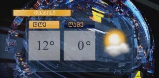 ,,ქრონიკის” დაიჯესტი 14.11.2022