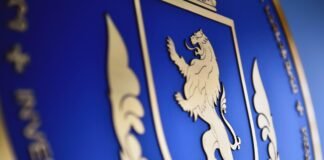 დიდი ოდენობით ყალბი ვალუტის გასაღების ფაქტი