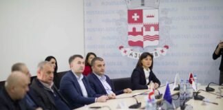 ნინო ლაცაბიძე რუსთავის წყალმომარაგების სისტემური გაუმჯობესების გეგმას გაეცნო