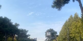 რუსთავის მერიამ საახალწლო სამზადისი დაიწყო