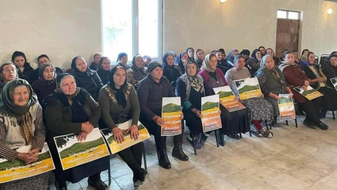 315304496_842015160280345_8474962315331382650_n