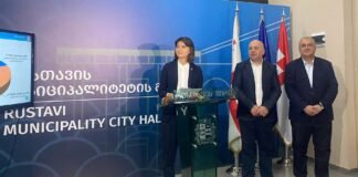 ნინო ლაცაბიძემ რუსთავის 2023 წლის ბიუჯეტის პროექტის შესახებ ბრიფინგი გამართა