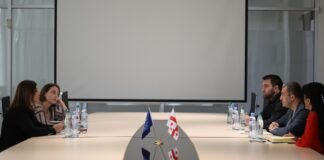 გიორგი დოხტურიშვილი დასაქმების ხელშეწყობის სახელმწიფო სააგენტოს წარმომდგენლებს შეხვდა