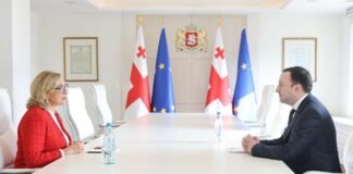 ირაკლი ღარიბაშვილი რუმინეთში საქართველოს ელჩს თამარ ბერუჩაშვილს შეხვდა