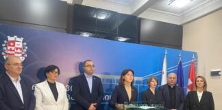 ,,რუსთავის ოპოზიციურმა საკრებულომ მიიღო რუსთავის და რუსთაველების საწინააღმდეგო გადაწყვეტილება”- ნინო ლაცაბიძე