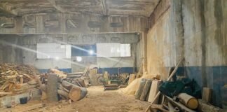 რუსთავში უკანონო სახერხი საამქრო გამოავლინეს