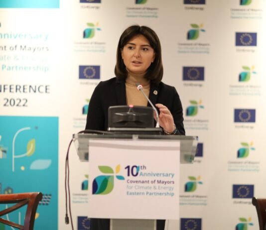 ნინო ლაცაბიძემ ,,მერების შეთანხმების“ პროქეტის ფარგლებში პრეზენტაცია წარადგინა