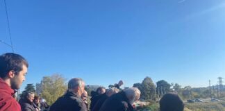 100 ათასი მოწამის ხსენების დღესთან დაკავშირებით რუსთავის ხიდიდან მტკვარში ყვავილები ჩაუშვეს