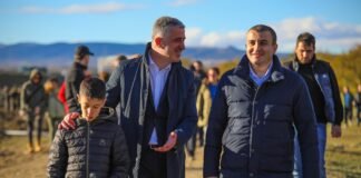 კრწანისის ტყეპარკში გამწვანების აქცია მიმდინარეობს