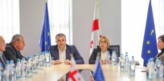 გიორგი დოხტურიშვილმა საზოგადოებრივი საკონსულტაციო საბჭოს მორიგი სხდომა გამართა