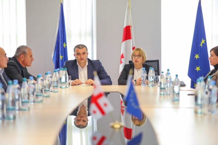 დოხტურიშვილი