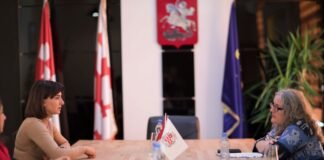 ნინო ლაცაბიძე გაეროს მუდმივ კოორდინატორს საქართველოში საბინე მახლის შეხვდა