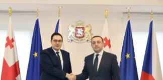 ირაკლი ღარიბაშვილი ჩეხეთის საგარეო საქმეთა მინისტრს იან ლიპავსკის შეხვდა