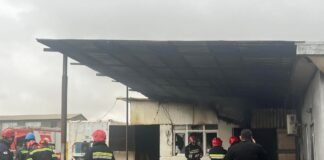 ჭყონდიდელის დასახლებაში არსებულ საწარმოს ხანძარი გაუჩნდა