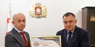 გოგი მეშველიანს 2022 წლის საქვეყნო მნიშვნელობის მაჟორიტარი დეპუტატის ტიტული და სპეციალური დიპლომი გადაეცა