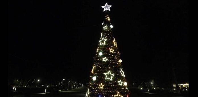 317151463_3379582705604417_5239485011001178114_n