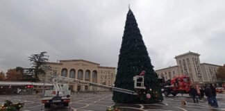 რუსთავში მთავარი ნაძვის ხის მონტაჟი მიმდინარეობს