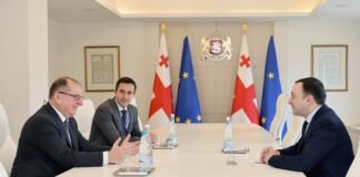 ირაკლი ღარიბაშვილი საქართველოში ევროკავშირის სადამკვირვებლო მისიის ხელმძღვანელს შეხვდა