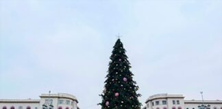 ქალაქის მთავარი ნაძვის ხე ხვალ, 10 დეკემბერს საზეიმო ვითარებაში აინთება