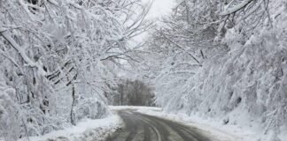 რა ინფორმაციას ავრცელებს საავტომობილო გზების დეპარტამენტი