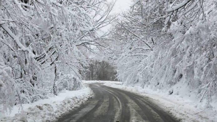 318243217_507644598060447_1361578690206490690_n