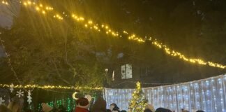 ბაგა-ბაღების გაერთიანების ყველა ფილიალში საახალწლო ნაძვის ხე აინთება