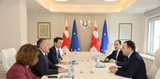 პრემიერ-მინისტრი TAV Airports-ის პრეზიდენტს სერქან კაპტანს შეხვდა