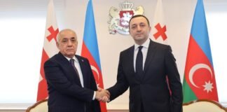 ირაკლი ღარიბაშვილი აზერბაიჯანის რესპუბლიკის პრემიერ-მინისტრს ალი ასადოვს შეხვდა