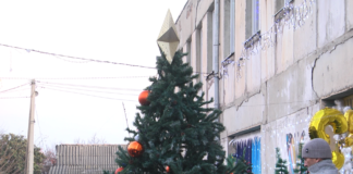 ბაგა-ბაღების ყველა ფილიალის ეზოში საახალწლო ნაძვის ხე აინთო