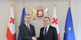 ირაკლი ღარიბაშვილი ახლად დანიშნულ ელჩს არგენტინის რესპუბლიკაში გვარამ ხანდამიშვილს შეხვდა