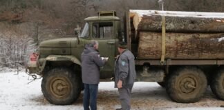 ეროვნული სატყეო სააგენტოს თანამშრომლებმა ხე-ტყის უკანონოდ მოპოვებისა და ტრანსპორტირების ფაქტი გამოავლინეს
