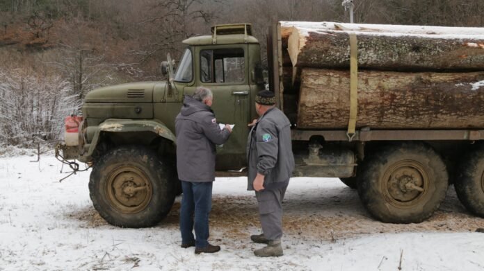 322799710_485951353654447_6672753701570869506_n