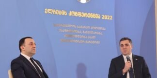 ელჩების კონფერენცია 2022 გაიხსნა