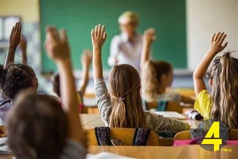 სკოლები