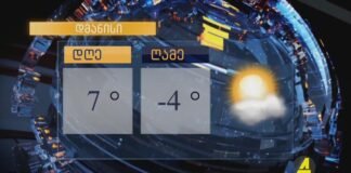,,ქრონიკის” დაიჯესტი 16.01.2023