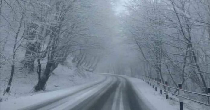 323884098_711410130374408_7351251530030558212_n