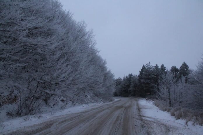 324467960_8619880044749810_1549343769895404030_n