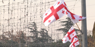 14 იანვარს სახელმწიფო დროშის დღე აღინიშნება